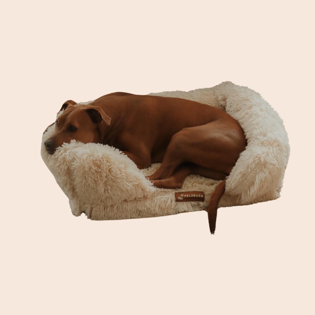 Orthopedic Calming Dog Bed