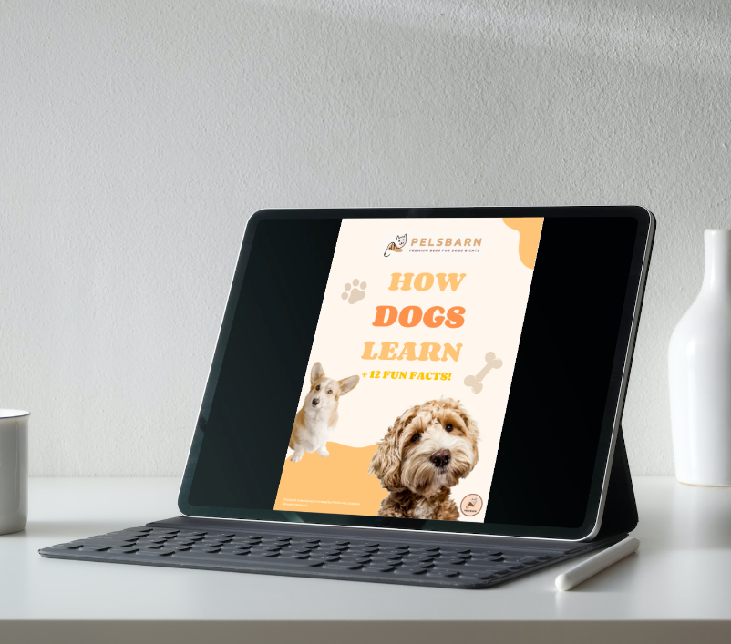 Dogs Live Longer - Digital Bundle
