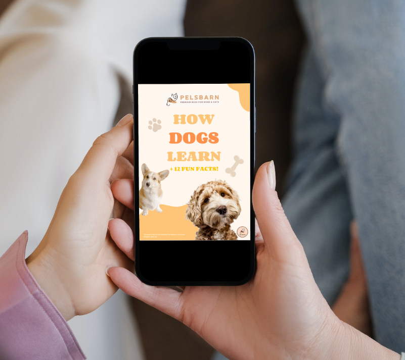 Dogs Live Longer - Digital Bundle