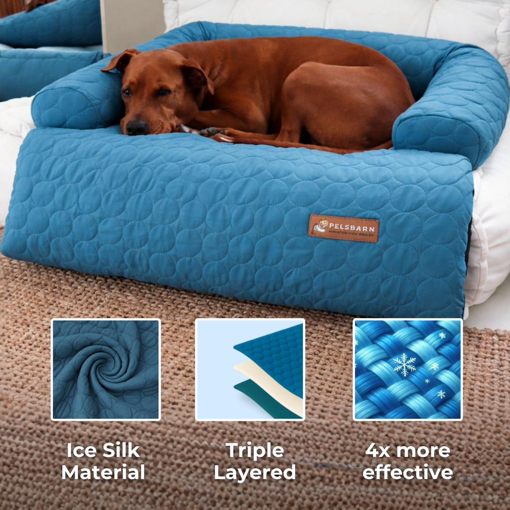 Cooling Sofa Bed