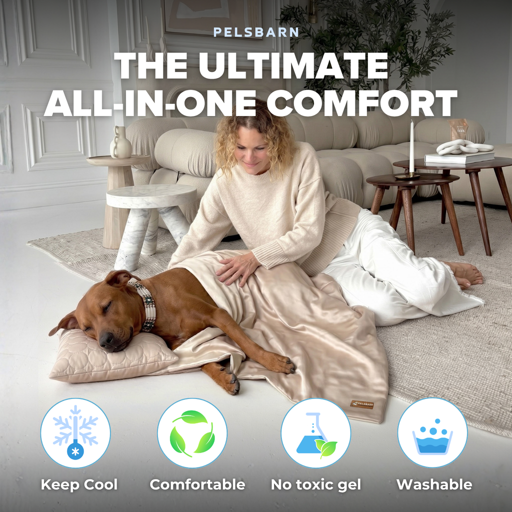 Cooling Sheet + Cooling Pillow