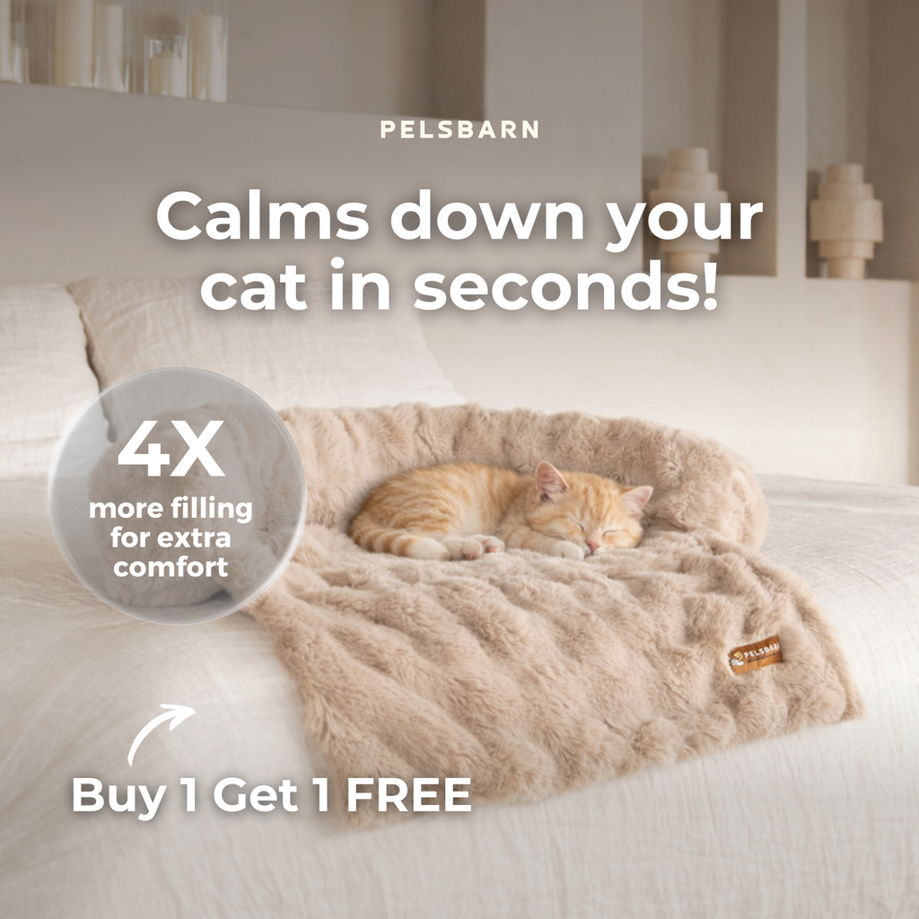 Pelsbarn Luxurious Sofa Bed ( 1+1 ) for Cats