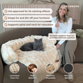 Pelsbarn Luxurious Sofa Bed ( 1+1 ) for Cats