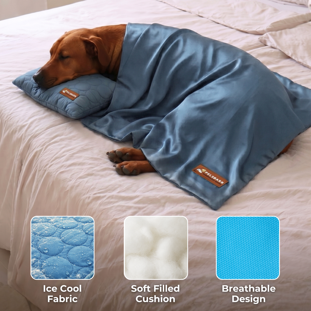 Cooling Sheet + Cooling Pillow