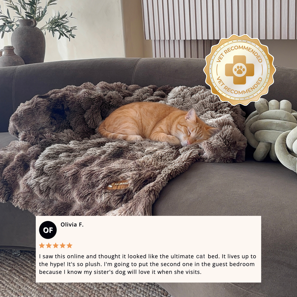 Pelsbarn Luxurious Sofa Bed ( 1+1 ) for Cats