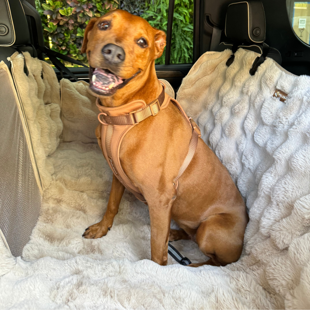 Luxurious Full Backseat Protector