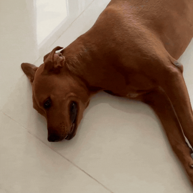 Cooling Mat