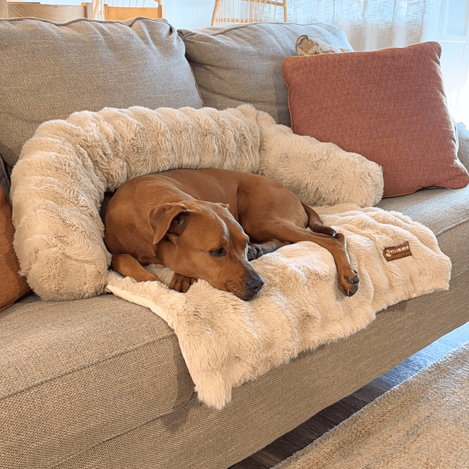 Luxurious Sofa Bed