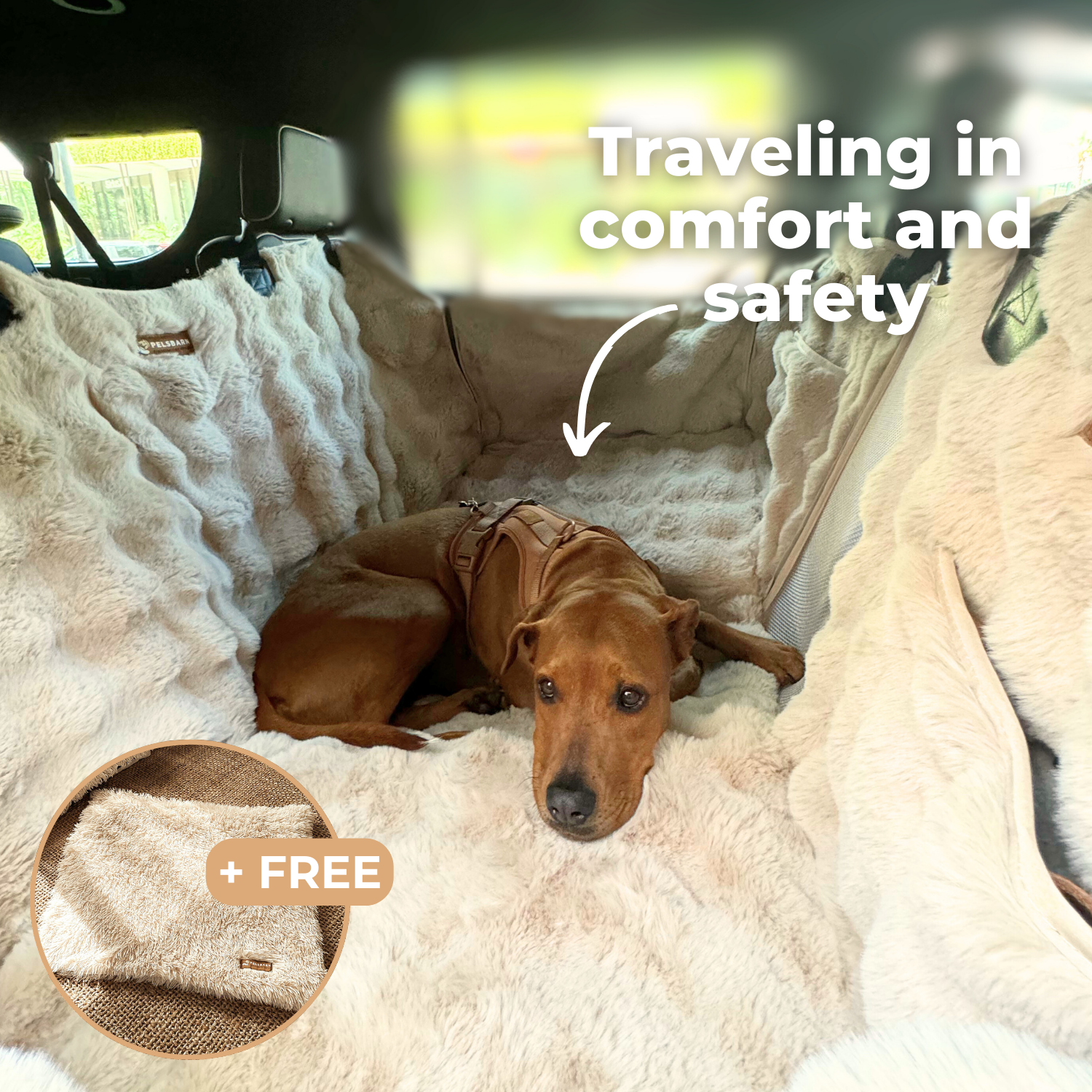 Luxurious Full Backseat Protector