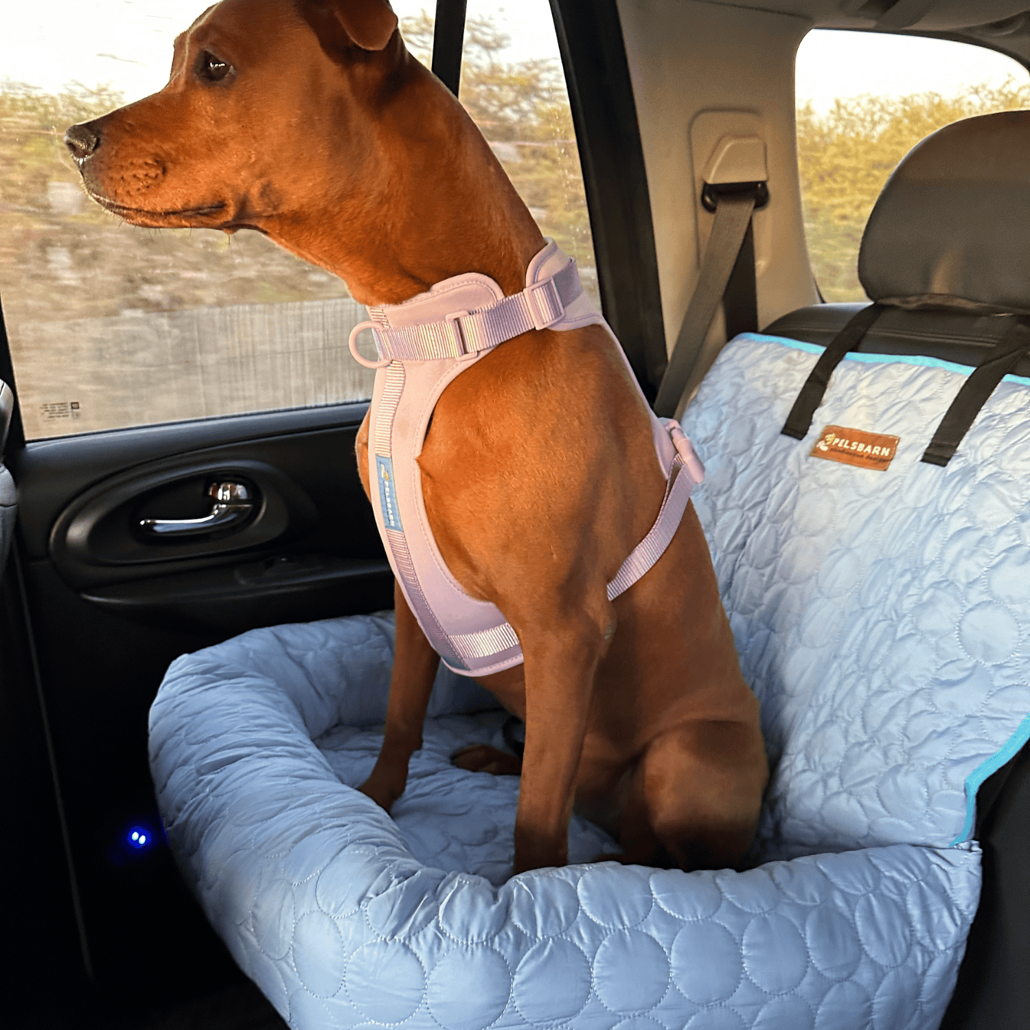 Cooling Car Bed